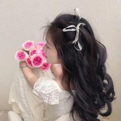大漠苍狼