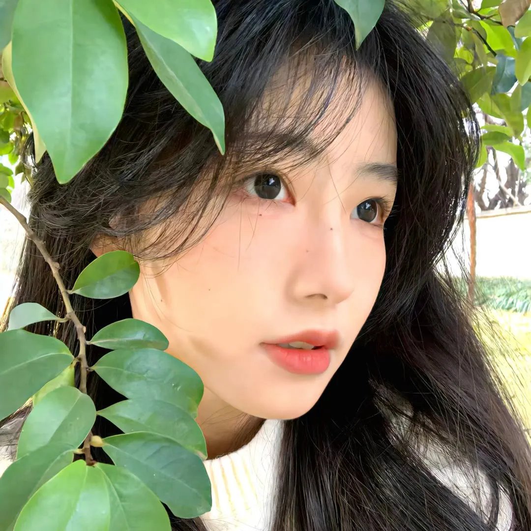 给我翅膀